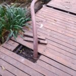 WhatsApp Image 2025-09-11 at 12.38.20